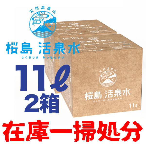 特別販売１１リットル箱型２箱セット （送料別）