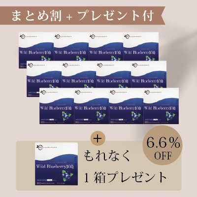ワイルドブルーベリー100（60包）【12箱でまとめ割6.6％OFF+さらに1箱プレゼント】