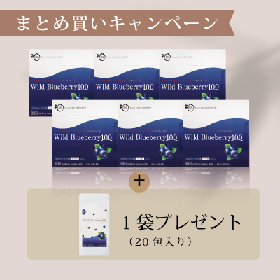 ワイルドブルーベリー100（60包）6箱まとめ買いキャンペーン【もれなく1袋プレゼント】