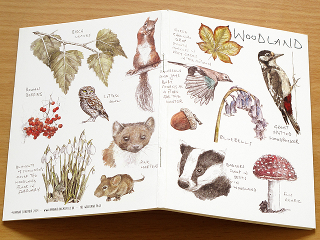 ウッドランド 森林 ノート スケッチブック