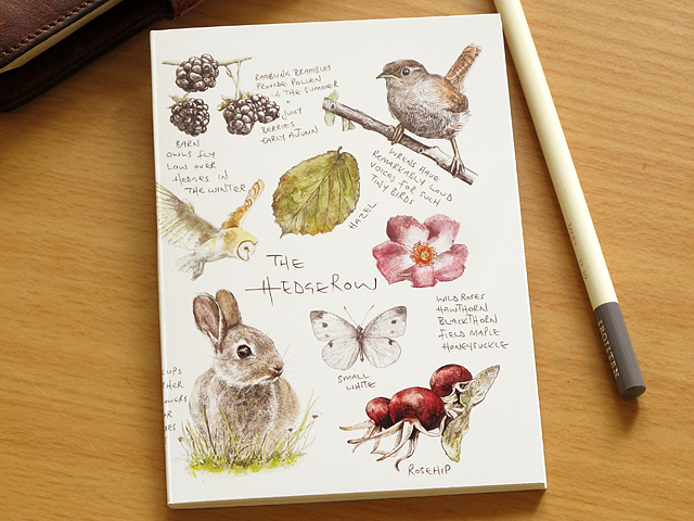 ヘッジロウ 生垣 ノート スケッチブック