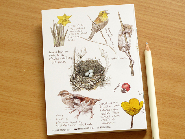 ヘッジロウ 生垣 ノート スケッチブック