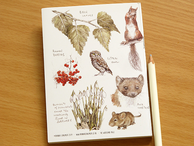 ウッドランド 森林 ノート スケッチブック