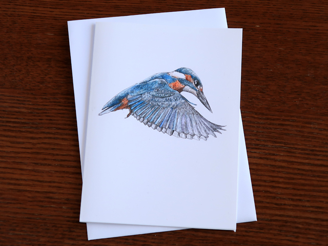 カワセミ　カード