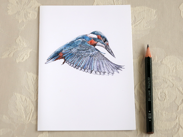 カワセミ　カード