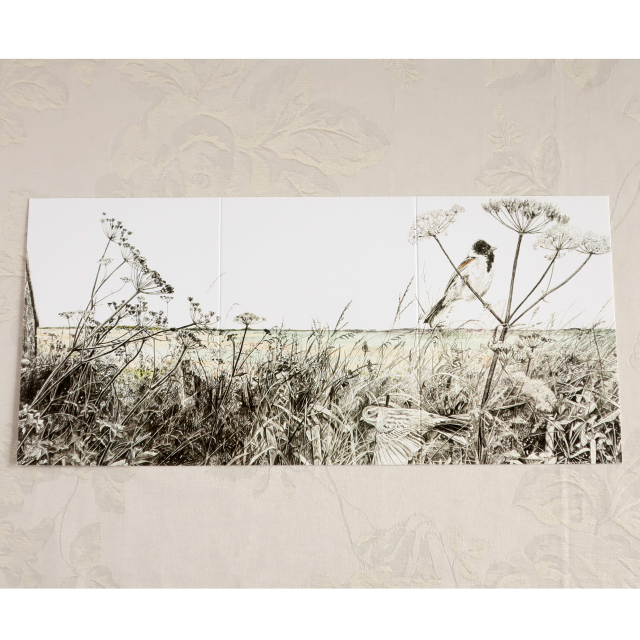 海岸のこみち　カード