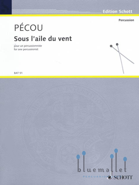 Thierry , Pecou - Sous l'aile du Vent pour un percussioniste