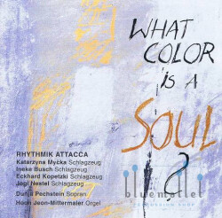 Rhythmik Attacca - What Color is a Soul ? (CD) (特価品)