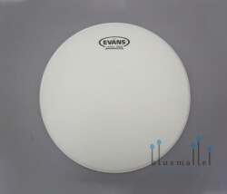 Evans Drum Head G12 Coated 12" B12G12 (特価品)