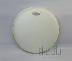 Remo Head Renaissance Ambassador 14