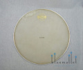 Aspr Head Origin 14" Calf Clear 14