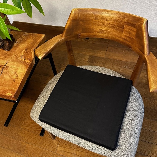 ハクナマタタ消臭クッションとおならフィルター