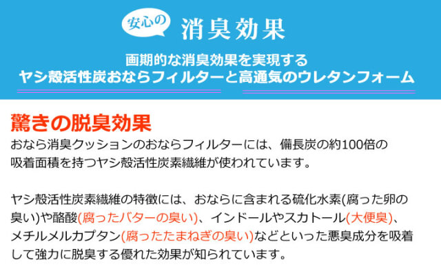 ハクナマタタ消臭クッションとおならフィルター