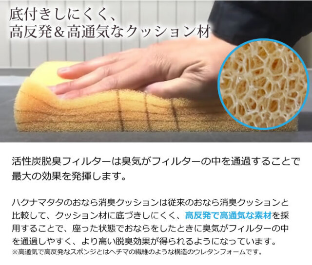 ハクナマタタ消臭クッションとおならフィルター