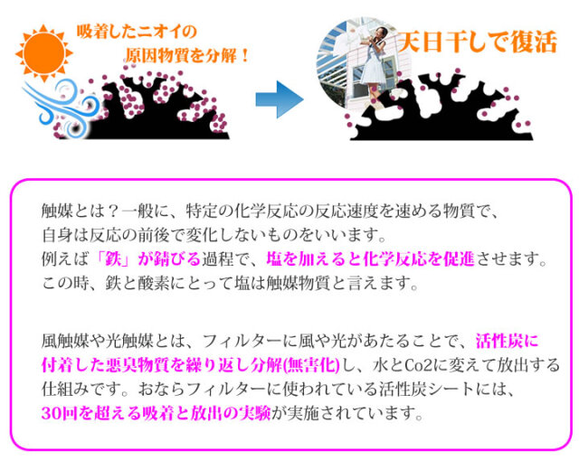 ハクナマタタ消臭クッションとおならフィルター
