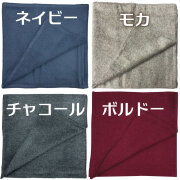 おならマット(フィルター１枚付き)