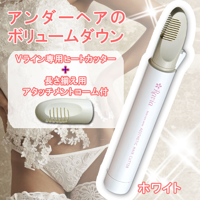 vライントリマー　ビキニラインの処理に