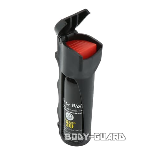 Spray 関連グッズ DETAILING SPRAYER【TAIWANアップデート版】 | THE DETAIL SUPPLY