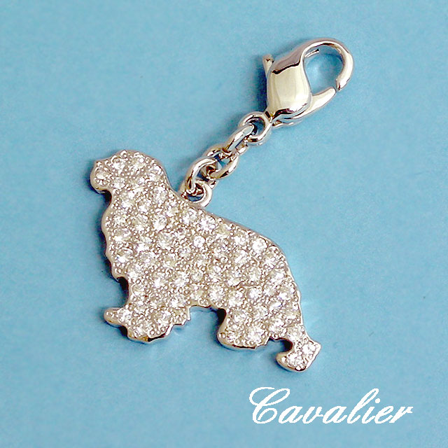 美しい輝きのキャバリアパヴェチャーム　￥10500