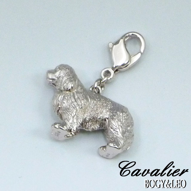 世界一可愛いキャバリアのオーナー様に