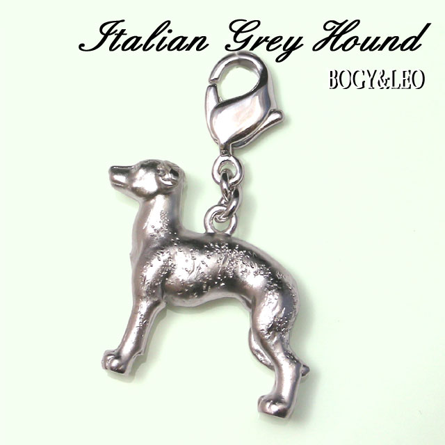 イタリアン・グレーハウンドのリアルチャーム 犬モチーフの