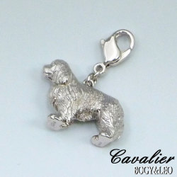 世界一可愛いキャバリアのオーナー様に