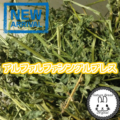 アルファルファ　シングルプレス　牧草　ルーサン