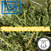 アルファルファ　シングルプレス　牧草　ルーサン
