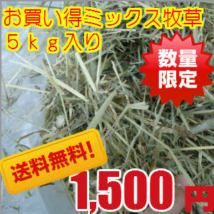 アウトレット　牧草　チモシー　送料無料