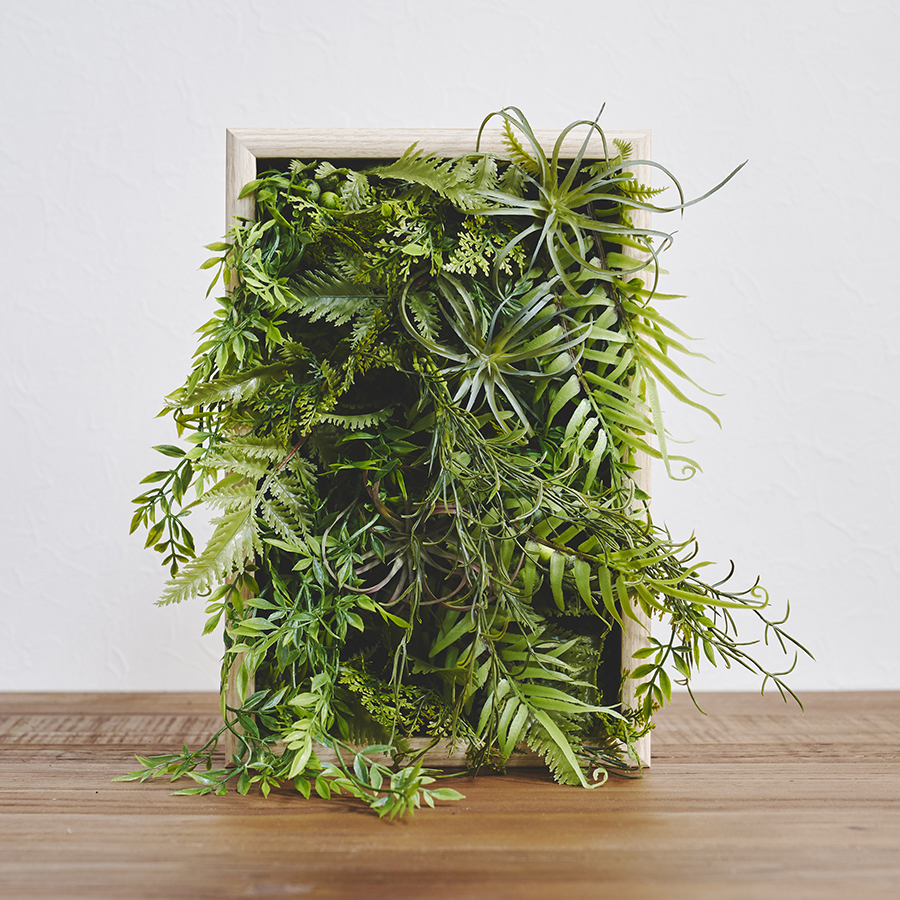 Botanical Frame／green Botanical Wall 壁面緑化・インテリア