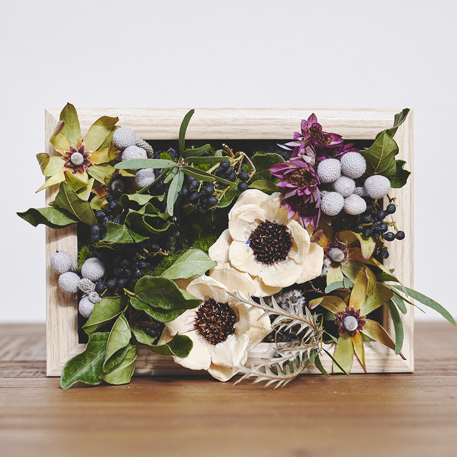 Botanical Frame／dry flower Botanical Wall 壁面緑化