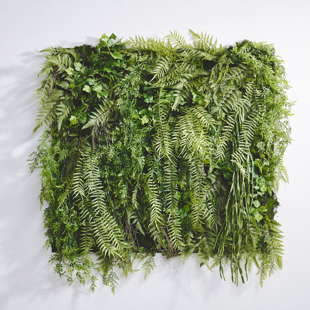 LLサイズ Botanical Wall 壁面緑化・インテリアグリーン・グリーン