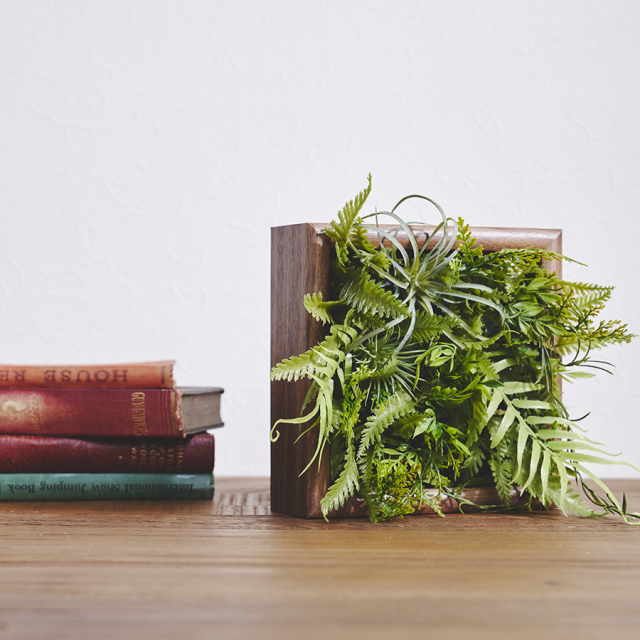 Botanical Frame／chic Botanical Wall 壁面緑化・インテリア