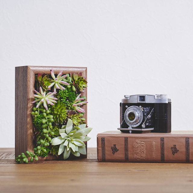 Botanical Frame／taniku Botanical Wall 壁面緑化・インテリア