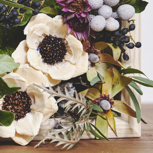 植物ディスプレイフレーム Botanical Frame／chic Botanical Wall 壁面緑化・インテリアグリーン