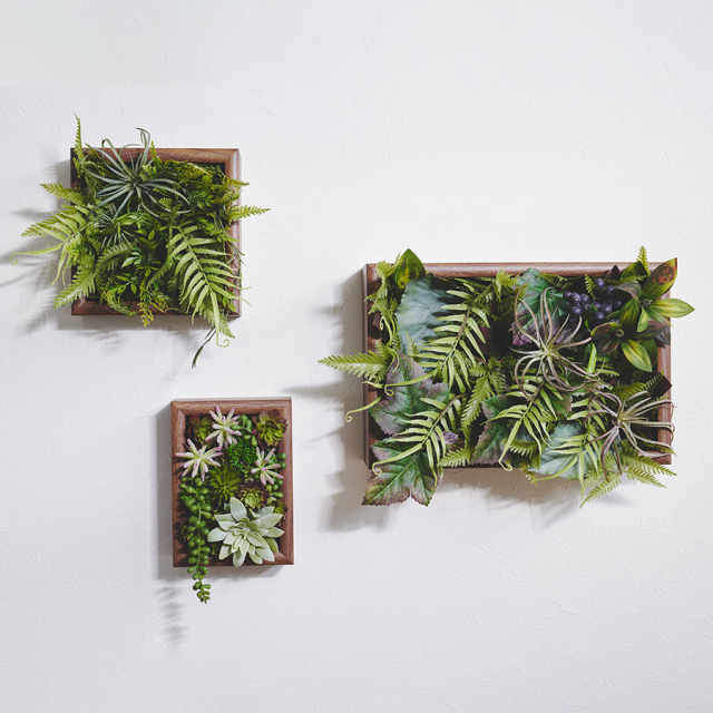 Botanical Frame／chic Botanical Wall 壁面緑化・インテリア