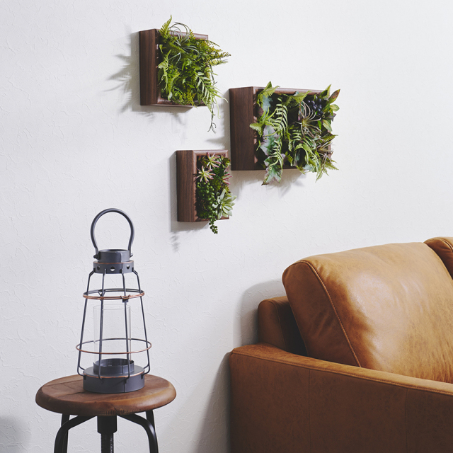 Botanical Frame／chic Botanical Wall 壁面緑化・インテリアグリーン