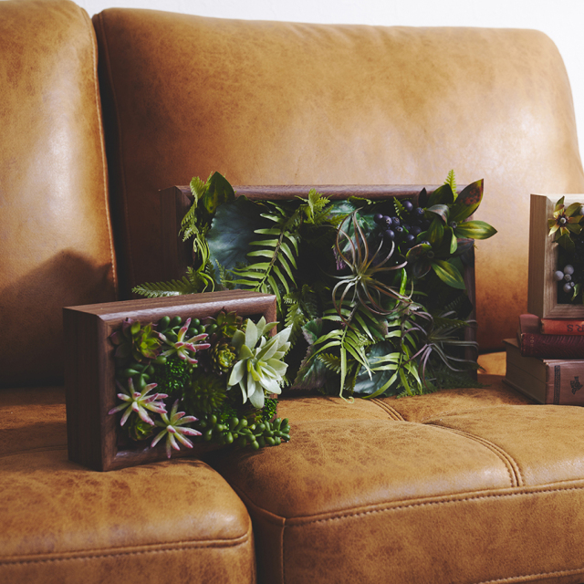 Botanical Frame／taniku Botanical Wall 壁面緑化・インテリア