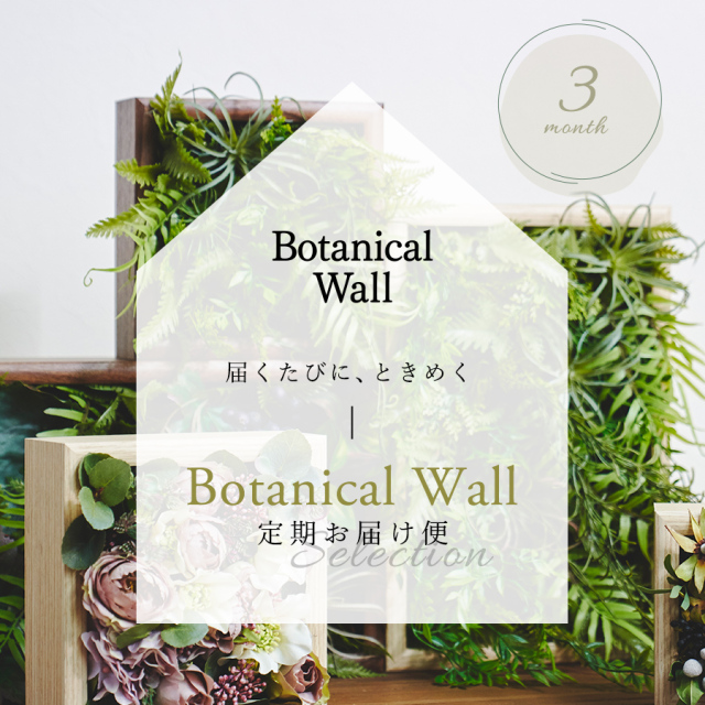 Botanical Frame／subscription【3ヶ月毎にお届け】