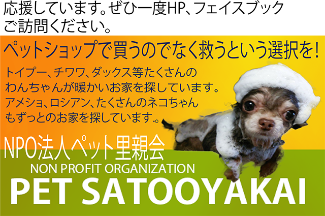 ペット里親会