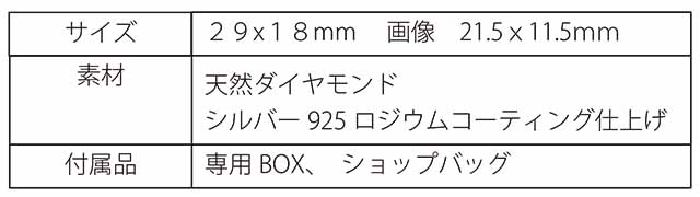 ダイヤモンドタグロケットペンダント製品詳細