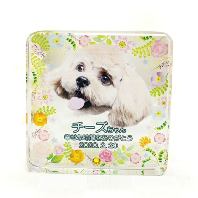 写真入りペット位牌 クリスタル 四角形＜大サイズ・選べる誕生月ラインストーン付き＞