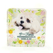 写真入りペット位牌 クリスタル 四角形＜小サイズ・選べる誕生月ラインストーン付き＞