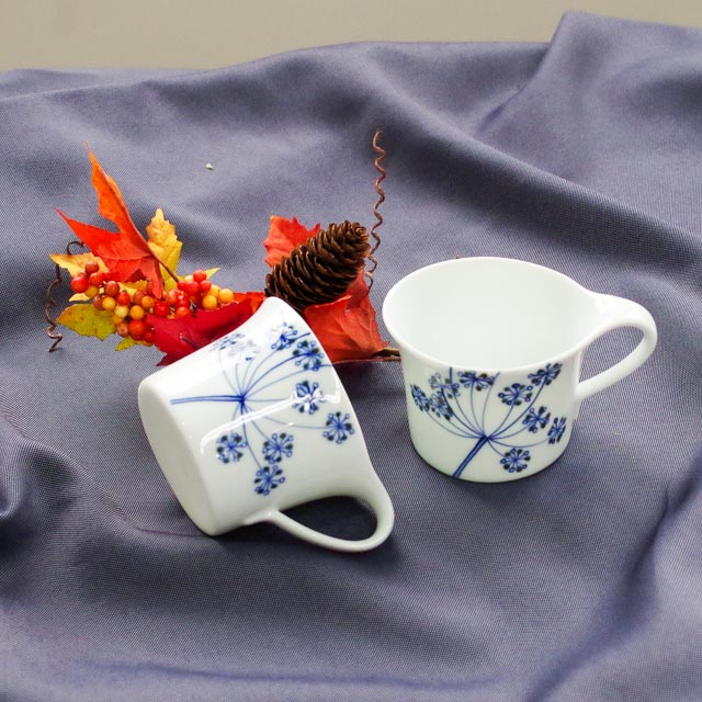 レースフラワー アメリカンカップ