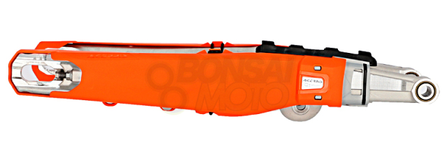 スイングアームガード　アチェルビス