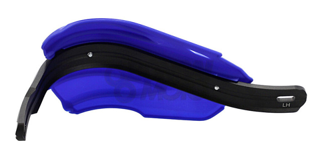 ktmボタニカル様用 特大 発根済み アボニア ktmボタニカル様用 特大 発根