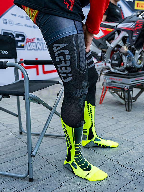 ニーシンガード　アチェルビス