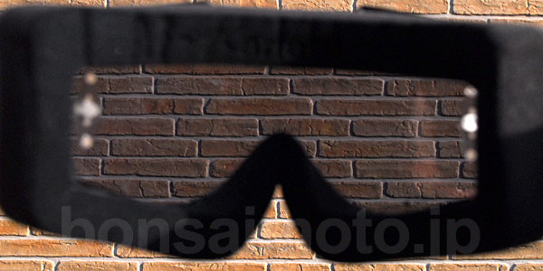 ariete（アリエテ）レンズ