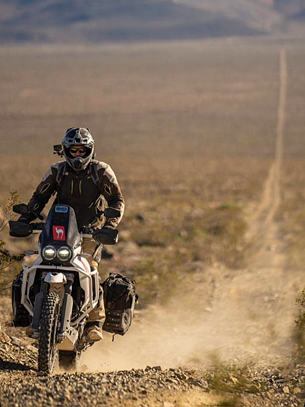 MOTO デザートブーツ　#1609 モト　DESERT BOOTS moto(モト) / moto モト/ブーツ/DESERT BOOTS/デザートブーツ