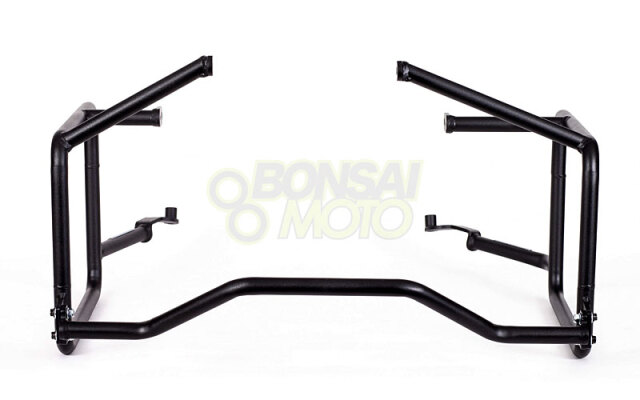 ktmボタニカル様用　特大　発根済み　アボニア KTMから新型「790DUKE」がデビュー！並列2気筒ミドルネイキッド